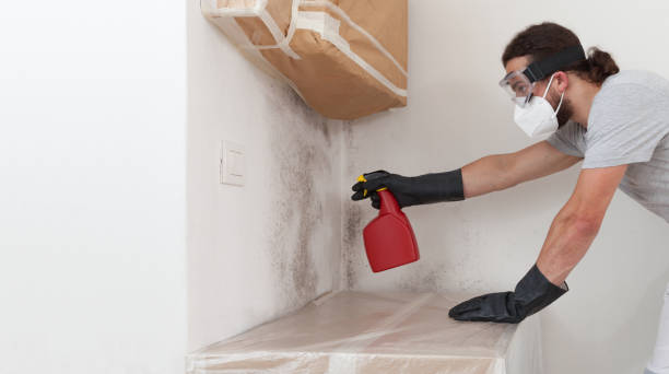 Professional Crawl Space Mold Remediation technician working in Norfolk, MA