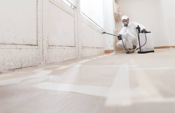 24/7 Emergency Crawl Space Mold Remediation experts in Norfolk, MA